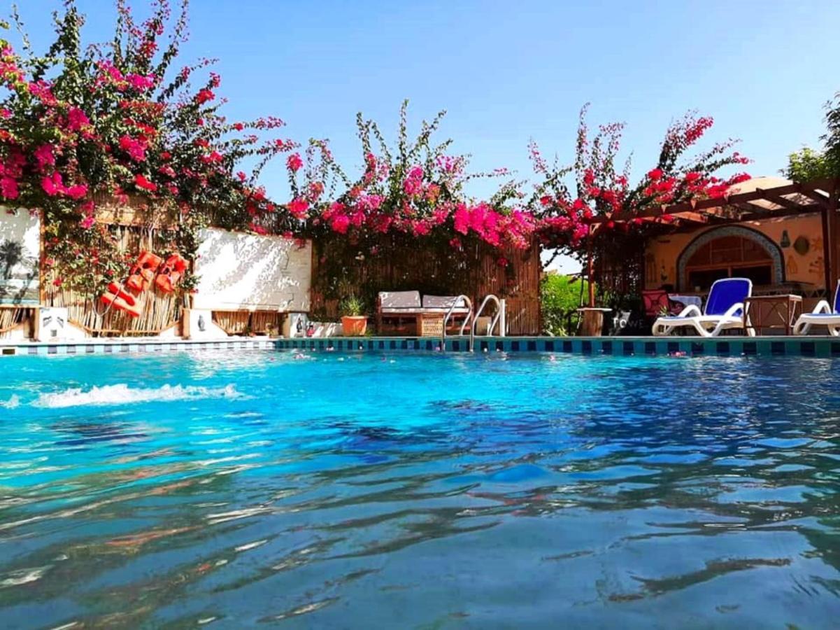Nile Compound Hotel Luxor Exterior photo