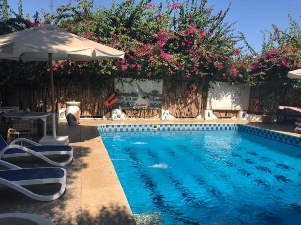 Nile Compound Hotel Luxor Exterior photo