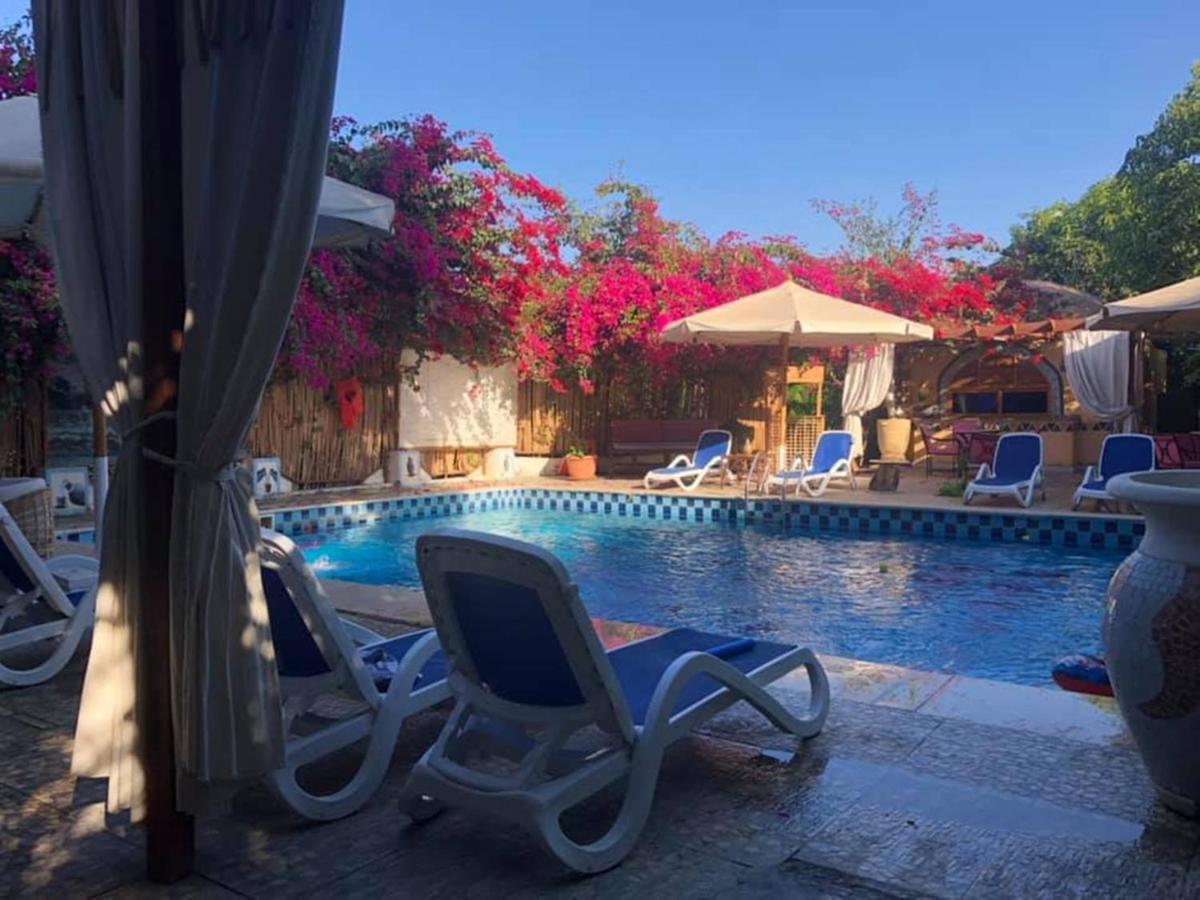 Nile Compound Hotel Luxor Exterior photo